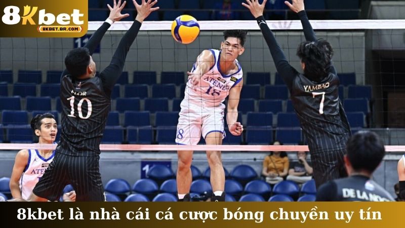 8kbet là nhà cái cá cược bóng chuyền uy tín